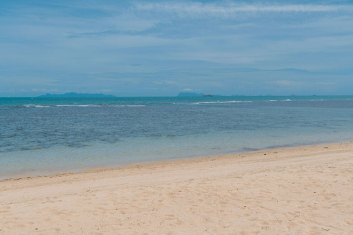 拼多多商家版上架商品怎么下架?可以下架商品嗎?
banner