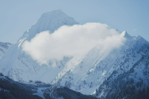 抖音商品櫥窗的已售量是真實的嗎?已售數量代表什么?
banner