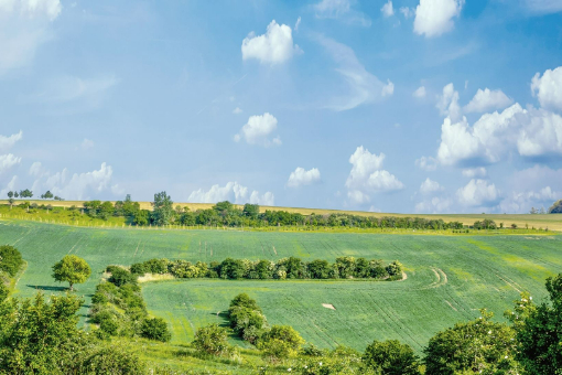 抖音商品櫥窗顯示0件商品是怎么回事?
banner